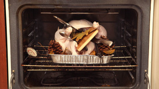 Illustration for article titled 11 Steps For Cooking A PERFECT Thanksgiving Turkey